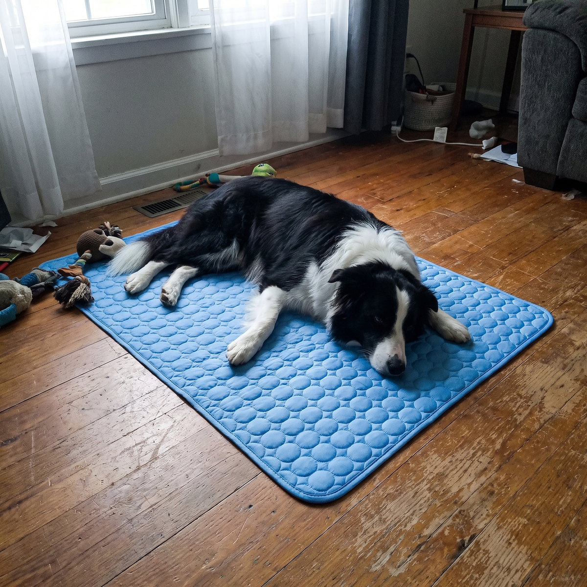 Frostnose Cooling Mat